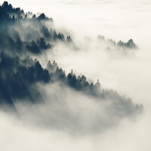 毛片A片7777777777朋友妻可以奇
